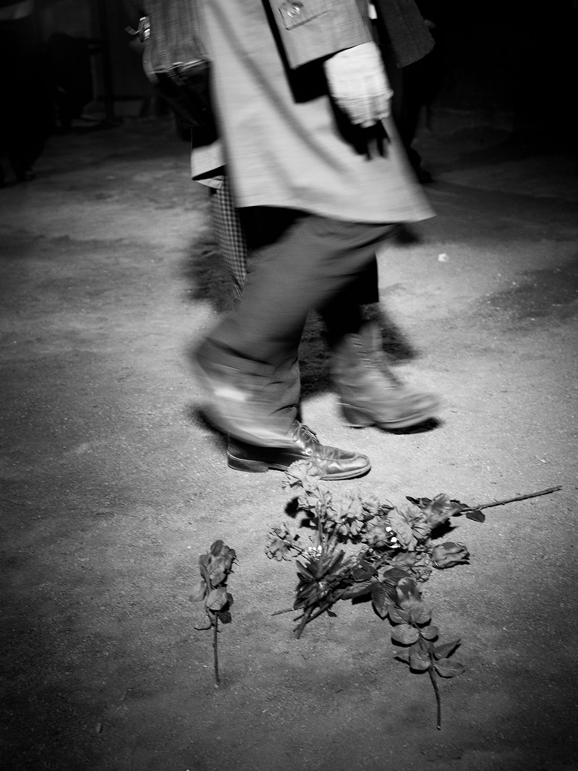 Assaig BOSCOS de Mouawad - Dir. O.Broggi